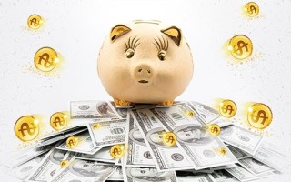 详解分期乐额度申请流程与技巧